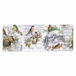 Tim Holtz idea-ology Aviary - Collage Paper - Rolls - Lilly Grace Crafts
