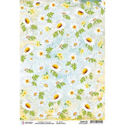 Ciao Bella White Daisies - Rice Paper 5 Sheets - Lilly Grace Crafts