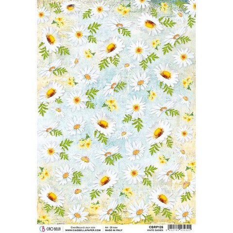 Ciao Bella White Daisies - Rice Paper 5 Sheets - Lilly Grace Crafts