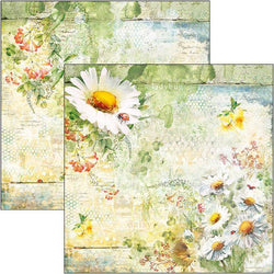 Ciao Bella Daisies 12 Pack - Lilly Grace Crafts