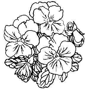 Personal Impressions Pansies (Small) Wood Mounted Stamp - Lilly Grace Crafts