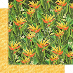 Graphic45 Utopian Fields 12x12 Paper - Lilly Grace Crafts