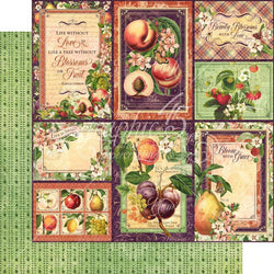 Graphic45 Orchard Fresh 12x12 Paper - Lilly Grace Crafts