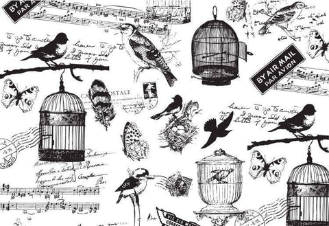 Hampton Art Wood Mounted Stamp - Wood Stamp 7G Bird Watching - Lilly Grace Crafts