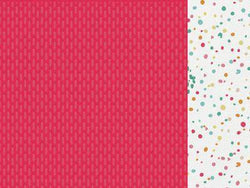 Kaisercraft 12x12 Scrapbook Paper - Tone 10 Sheets - Lilly Grace Crafts