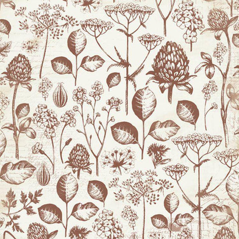 Kaisercraft Botanica 12x12 Specialty Paper - Gloss Bulb - 10 Sheets - Lilly Grace Crafts