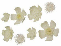 White Flowers - Lilly Grace Crafts
