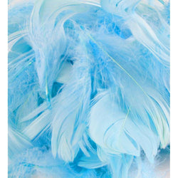 OAKTREE Feathers - Lt. Blue No. 25 - 3inch-5inch 50g - Lilly Grace Crafts