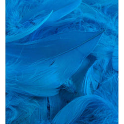 OAKTREE Feathers - Turquoise No. 55 - 3inch-5inch 50g - Lilly Grace Crafts