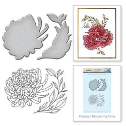 Spellbinder Paper Arts Stamp and Die Set - Chysanthemum - Lilly Grace Crafts