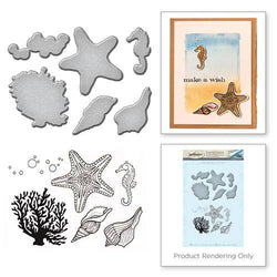 Spellbinder Paper Arts Stamp and Die Set - Starfish - Lilly Grace Crafts