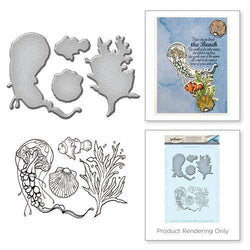 Spellbinder Paper Arts Stamp and Die Set - Jelly - Lilly Grace Crafts