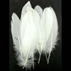 Sweet Dixie Pack of 10 White Goose Feathers - Lilly Grace Crafts