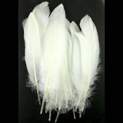 Sweet Dixie Pack of 20 White Goose Feathers - Lilly Grace Crafts
