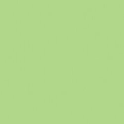 DecoArt Pistachio Mint Americana Acrylic 2Oz. - CLDA253-2OZ - Lilly Grace Crafts