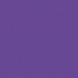DecoArt Purple Passion Crafters Acrylic 2oz - CLDCA72 - Lilly Grace Crafts