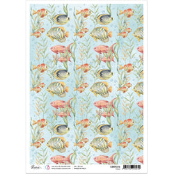 Ciao Bella Papers Rice Paper A4 Fishes - 5 pack - CBRP216 - Lilly Grace Crafts