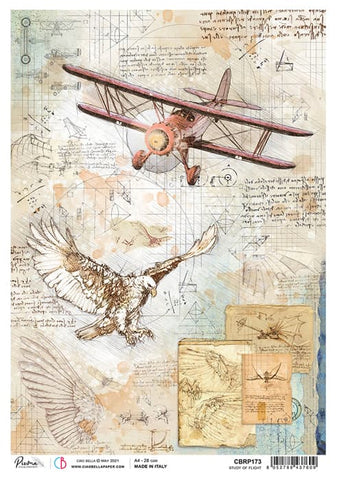 Ciao Bella Papers A4 Rice Paper x5 Study of Flight - CBRP173 - Lilly Grace Crafts