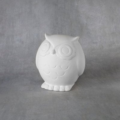 Duncan Large Hoot (owl) money box Box of 4 - CLDN-BQ38176 - Lilly Grace Crafts