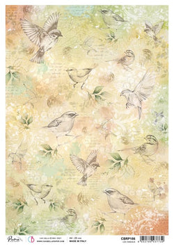 Ciao Bella Papers A4 Rice Paper x5 Les Oiseaux - CBRP186 - Lilly Grace Crafts