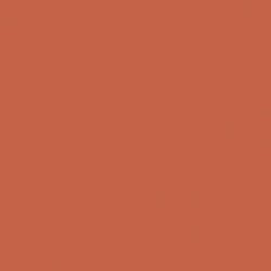 DecoArt Burnt Orange Americana Acrylic 2Oz. - CLDAO16-2OZ - Lilly Grace Crafts