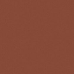 DecoArt Burnt Sienna Crafters Acrylic 2oz - CLDCA11 - Lilly Grace Crafts